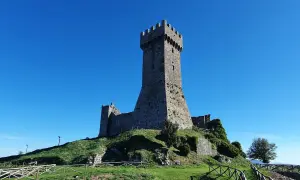La fortezza di Radicofani domina il paesaggio sotto un cielo azzurro. Le antiche mura e la torre si ergono su una collina verdeggiante.