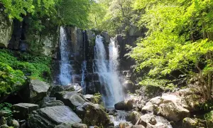 Cascate bologna: un'oasi verde con cascate fragorose tra rocce e vegetazione lussureggiante.