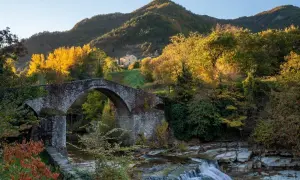 Ponte romano su un fiume con cascata, circondato da alberi autunnali e colline forlivesi cosa vedere.