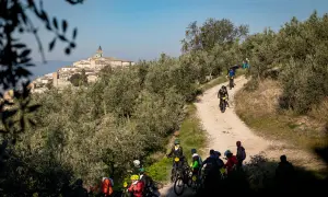 Ciclisti in mountain bike tra gli ulivi, con un borgo medievale sullo sfondo. Un'allegra festa dell'olio in movimento.