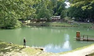 Un ragazzo pesca sul lago Pontini, circondato da alberi e persone che si rilassano sull'erba.