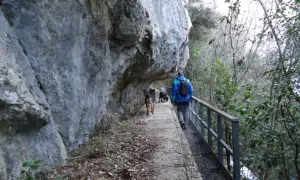 Passeggiata con cani lungo un sentiero sotto una roccia sporgente, simile a una grotta all'onda.