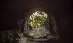 Sentiero che emerge da una grotta, verso un bosco luminoso. Un invito a scoprire Vitozza, la città perduta.