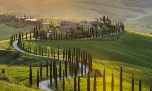 Un suggestivo itinerario Val d'Orcia 3 giorni: cipressi fiancheggiano una strada tortuosa tra dolci colline verdi al tramonto.