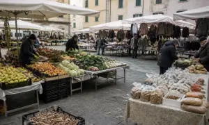Mercato all'aperto a Marina di Massa con bancarelle di frutta, verdura e abbigliamento.