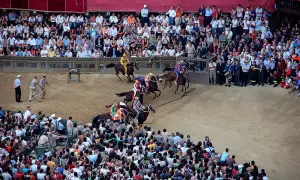 Cavalli e fantini in gara durante il Palio dell'Assunta a Siena, tra la folla festante.