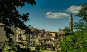 Panoramica di Siena con la Torre del Mangia, un'idea di cosa vedere a Siena di sera, tra vicoli e scorci suggestivi.