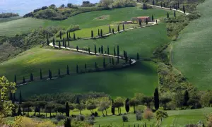 Colline ondulate del Val d'Orcia, con una strada tortuosa fiancheggiata da cipressi che conduce a una casa colonica. Esperienze indimenticabili in Toscana.