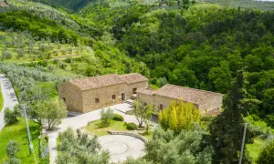 Casolare in pietra immerso nel verde della campagna di Vinci, Toscana, tra ulivi e boschi rigogliosi.