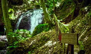 Sentiero dell'Acqua a Vivo d'Orcia: un'immersione nella natura tra cascate e sentieri suggestivi.