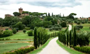 Strada bianca tra cipressi e ulivi, con un borgo in collina. Un'immagine perfetta per un weekend in Val d'Orcia.