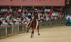 Cavallo e fantino in piena mossa al Palio di Siena, tra la folla festante sugli spalti.