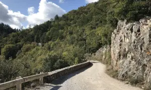 Strada sterrata serpeggia tra le **roste di montieri**, con un muretto di pietra e un guardrail in legno a proteggere il fianco.
