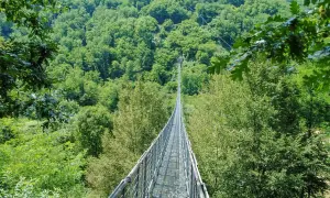 Ponte sospeso delle Ferriere che attraversa una lussureggiante foresta verde.