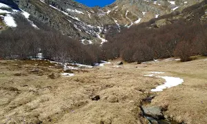 Primi fiorellini viola spuntano tra l'erba secca vicino alle sorgenti del Secchia, con montagne innevate sullo sfondo.