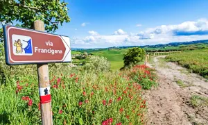 Segnale della Via Francigena in Toscana, con un sentiero che si snoda tra colline verdi e fiori rossi. Ideale per un cammino di 3 giorni.