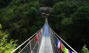 Un gruppo di escursionisti attraversa un avventuroso ponte tibetano in Emilia Romagna, circondato da una lussureggiante foresta.