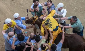 Caos e passione al Palio di Siena: uomini lottano per il cavallo, mostrando l'intensità delle regole non scritte di questa storica corsa.