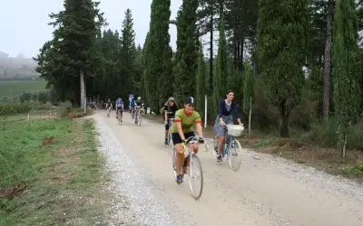 Ciclisti su strada sterrata, un'avventura eroica in bici 3 giorni tra cipressi e vigneti.