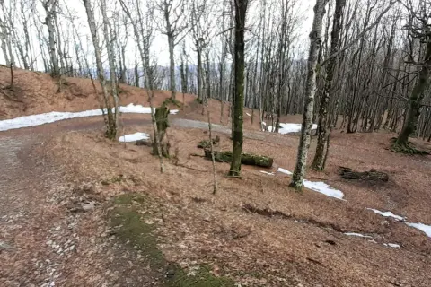 Sentieri nel bosco di faggi spogli, con chiazze di neve e un sasso fratino ricoperto di muschio.