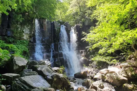 Cascate bologna: un'oasi verde con cascate fragorose tra rocce e vegetazione lussureggiante.