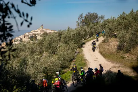 Ciclisti in mountain bike tra gli ulivi, con un borgo medievale sullo sfondo. Un'allegra festa dell'olio in movimento.