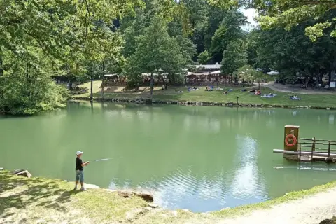 Un ragazzo pesca sul lago Pontini, circondato da alberi e persone che si rilassano sull'erba.