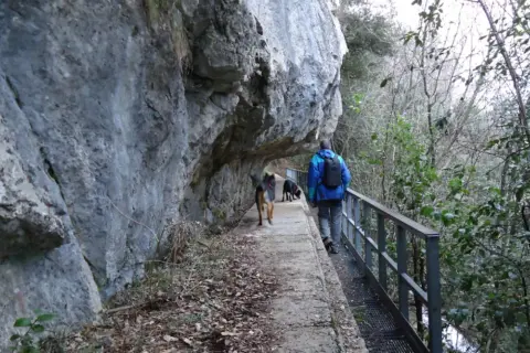 Passeggiata con cani lungo un sentiero sotto una roccia sporgente, simile a una grotta all'onda.