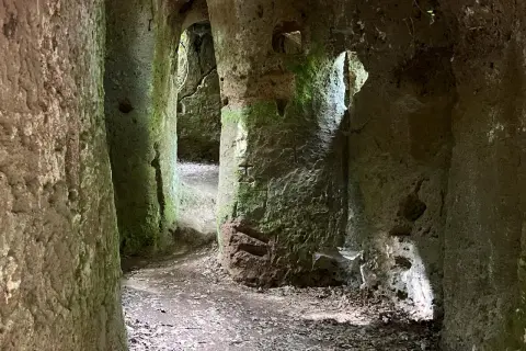 Sentiero tra antiche grotte in Toscana, con pareti rocciose ricoperte di muschio e foglie secche sul terreno.