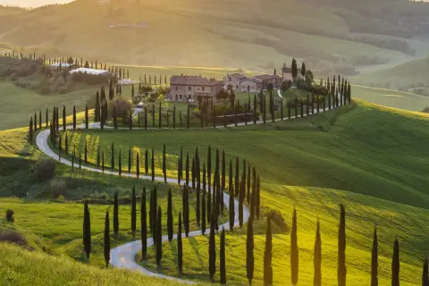 Un suggestivo itinerario Val d'Orcia 3 giorni: cipressi fiancheggiano una strada tortuosa tra dolci colline verdi al tramonto.