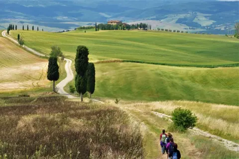 Sentiero tra colline verdi e campi dorati, con cipressi iconici che conducono a un casale. Un gruppo di escursionisti esplora i borghi vicino Montalcino.