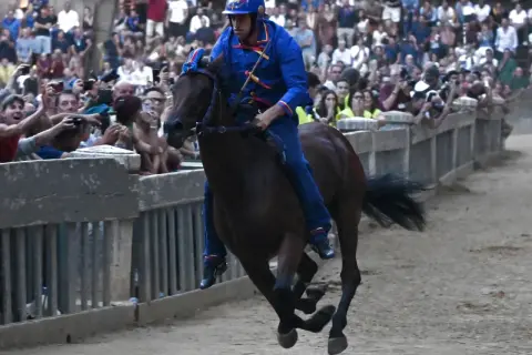 Cavallo e fantino in gara, un momento emozionante di come si celebra il Palio di Siena tra la folla festante.