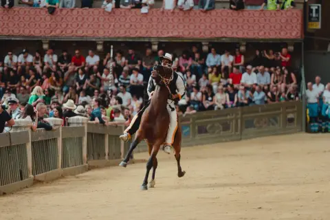 Cavallo e fantino in piena mossa al Palio di Siena, tra la folla festante sugli spalti.