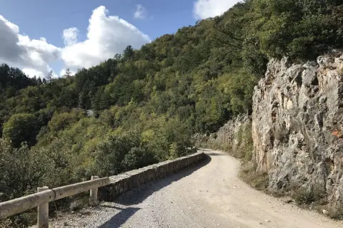 Strada sterrata serpeggia tra le **roste di montieri**, con un muretto di pietra e un guardrail in legno a proteggere il fianco.