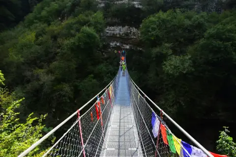 Un gruppo di escursionisti attraversa un avventuroso ponte tibetano in Emilia Romagna, circondato da una lussureggiante foresta.