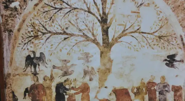 Antico affresco a Massa Marittima: un albero della vita con figure umane e uccelli, forse un racconto di antiche tradizioni.
