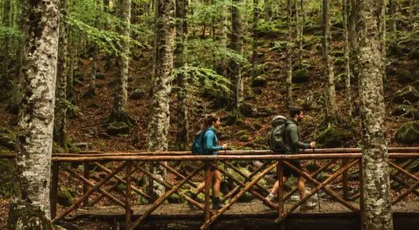Co zobaczyć na Monte Amiata? Para wędruje po drewnianym moście przez bukowy las, odkrywając piękno natury.