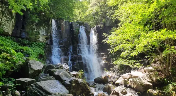Cascate bologna: un'oasi verde con cascate fragorose tra rocce e vegetazione lussureggiante.