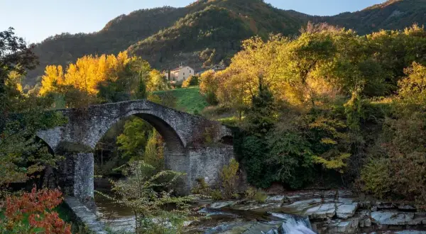 Ponte romano su un fiume con cascata, circondato da alberi autunnali e colline forlivesi cosa vedere.
