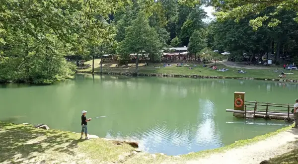 Un ragazzo pesca sul lago Pontini, circondato da alberi e persone che si rilassano sull'erba.