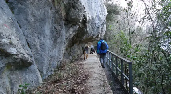 Passeggiata con cani lungo un sentiero sotto una roccia sporgente, simile a una grotta all'onda.