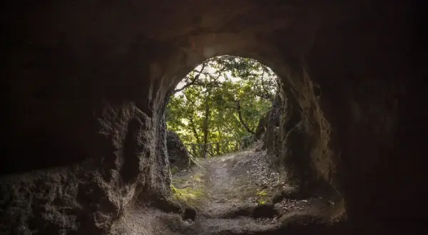 Sentiero che emerge da una grotta, verso un bosco luminoso. Un invito a scoprire Vitozza, la città perduta.