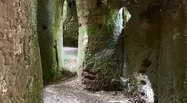 Sentiero tra antiche grotte in Toscana, con pareti rocciose ricoperte di muschio e foglie secche sul terreno.