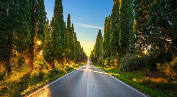 Un suggestivo viale dei cipressi in Toscana, con il sole che filtra tra gli alberi creando un'atmosfera magica.