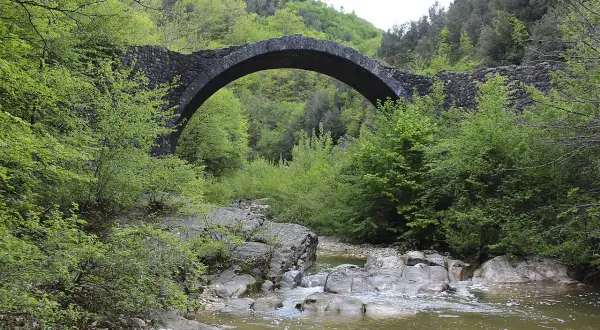 Antico ponte della Pia con un arco in pietra, circondato da una rigogliosa vegetazione verde e un ruscello che scorre tra le rocce.