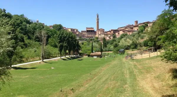 Un prato verde con persone che passeggiano, sullo sfondo il belsedere di Siena con i suoi edifici storici e la torre del Mangia.