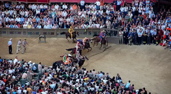 Cavalli e fantini in gara durante il Palio dell'Assunta a Siena, tra la folla festante.