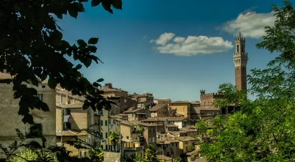 Panoramica di Siena con la Torre del Mangia, un'idea di cosa vedere a Siena di sera, tra vicoli e scorci suggestivi.