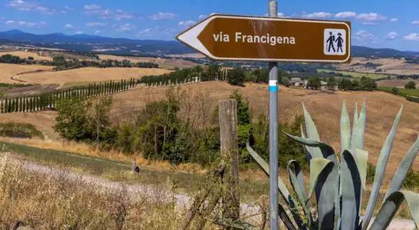 Segnale marrone indica la via Francigena, con un paesaggio collinare toscano sullo sfondo.