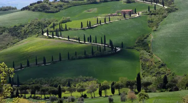 Colline ondulate del Val d'Orcia, con una strada tortuosa fiancheggiata da cipressi che conduce a una casa colonica. Esperienze indimenticabili in Toscana.